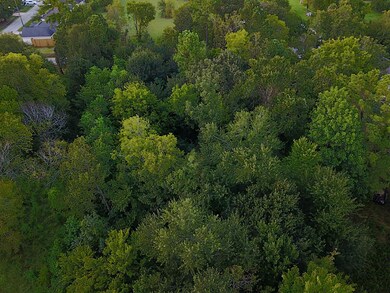 0 Mansfield St unit 47115447, Houston, TX 77091 - photo 6