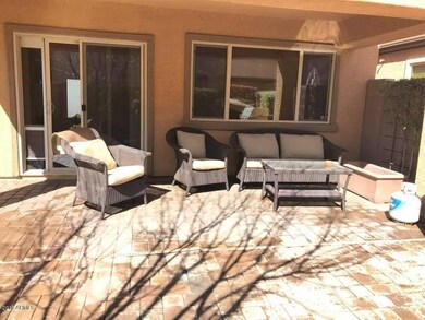 Backyard 3