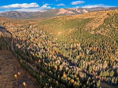 2503 Wild Bill Rd, Kila, MT 59920 - photo 6