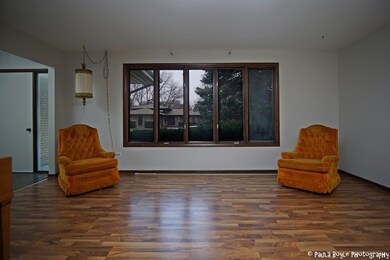 4231 Pinewood Ln, Matteson, IL 60443 - photo 4