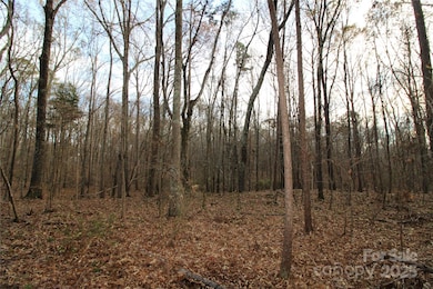 14.5+/-AC Pioneer Rd, York, SC 29745 - photo 7
