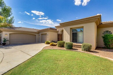 02-Greentree