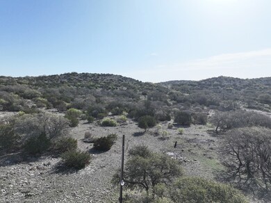 9125 County Road 450, Rocksprings, TX 78880 - photo 7