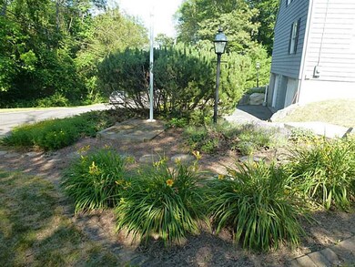 Yard/Garden.