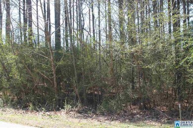 00 Clarendon Rd unit lot 61, Cullman, AL 35057 - photo 5