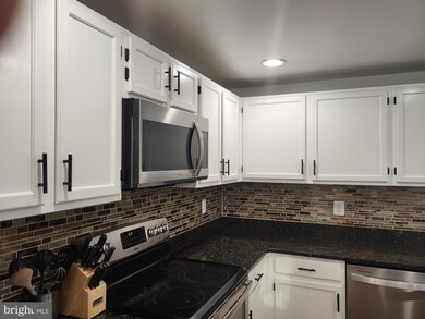 13851 Laura Ratcliff Ct, Centreville, VA 20121 - photo 4