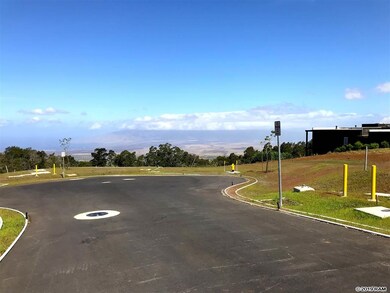0 Ainakula Rd unit Lot 1, Land Court 3, Kula, HI 96790 - photo 6