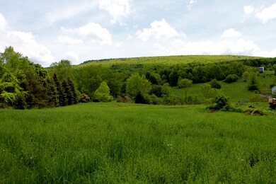 East views
