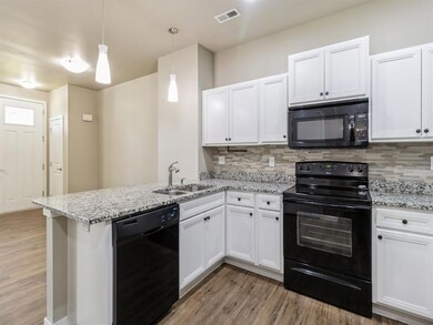 316 SW 6th St unit 106, Des Moines, IA 50309 - photo 7