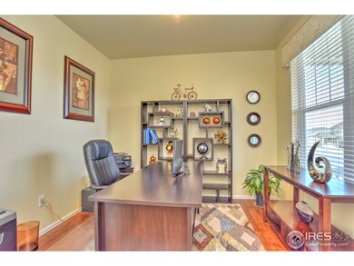 14127 Hudson St, Thornton, CO 80602 - photo 7