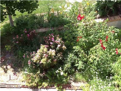 Perennial garden under deck