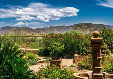 Backyard Mountain View