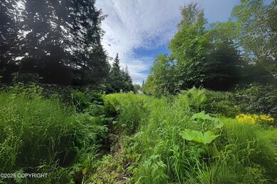 Mixture of open fields & spruce tree