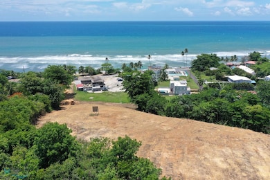 01 Camino de La Playa Aguada, Aguada, PR 00602 - photo 2