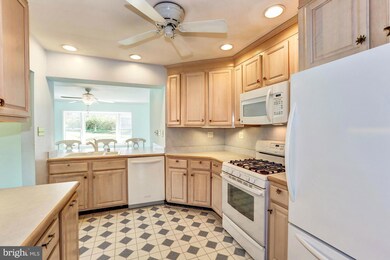 10213 Conover Dr, Silver Spring, MD 20902 - photo 7