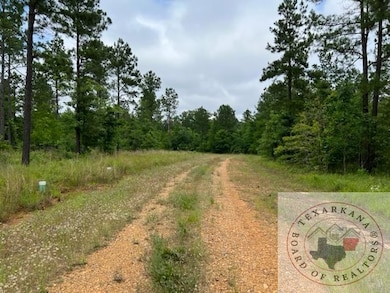 000 S Eagle's Way S, Bradley, AR 71845 - photo 2