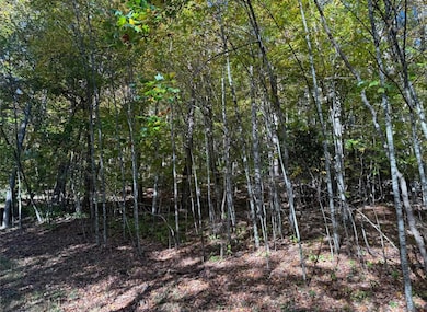 0 Lauren Ln unit 24422390, West Jefferson, NC 28694 - photo 6