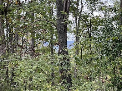 Lot 20 Rabbit Run, Flat Creek A Township, MO 65624 - photo 2