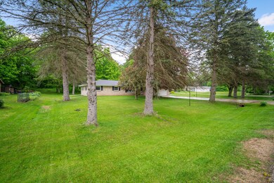Matured Trees