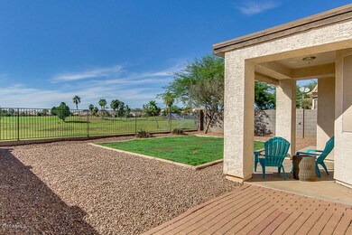 5 Backyard