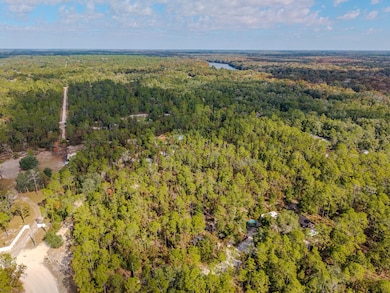 LOT 61 NE 899th St, Old Town, FL 32680 - photo 2