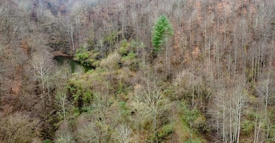 503 Brown Branch Rd Dix Fk, Sidney, KY 41564 - photo 2