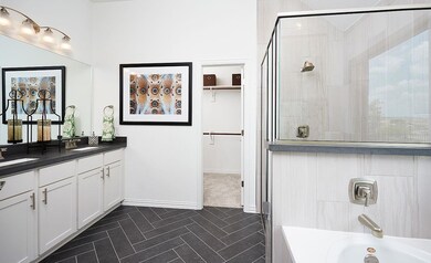 Bathroom featuring a sink, a walk in closet, doub