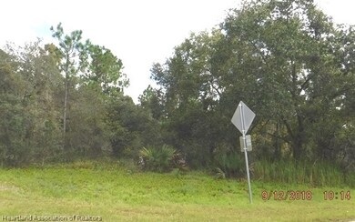 368 Fawnwood Ave, Lake Placid, FL 33852 - photo 2