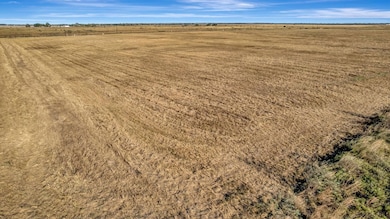 Schmidt Rd, Inez, TX 77968 - photo 6