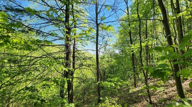 11 & 17 Tara Dr unit 2-3, Asheville, NC 28806 - photo 6