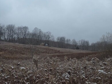 0WP Piety Hill Rd, Cincinnatus, NY 13040 - photo 6