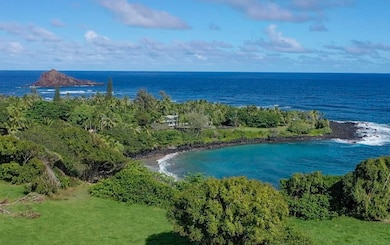 495 Haneoo Rd, Hana, HI 96713 - photo 2