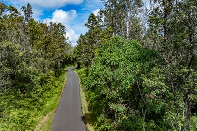 12-4235 Upper Puna Rd, Pahoa, HI 96778 - photo 6