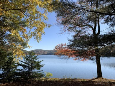 VIEW FROM THE PATIO