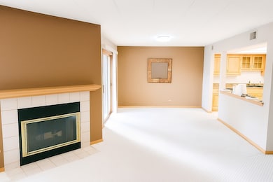 7823 W 157th Place unit 1W, Orland Park, IL 60462 - photo 2