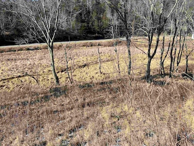 TBD Pilot Rd, Christiansburg, VA 24073 - photo 6