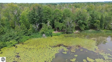 00 Partridge Trail, Elk Rapids, MI 49629 - photo 5