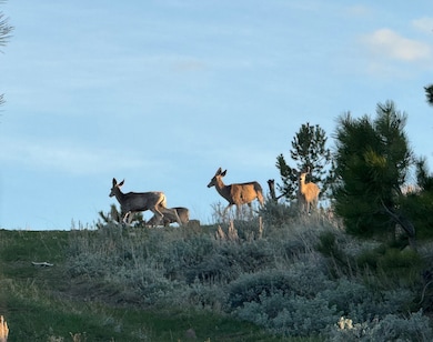 0 Tbd unit 11493126, Big Timber, MT 59011 - photo 7