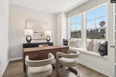 551 Griffon Dr, Chapin, SC 29036 - photo 3