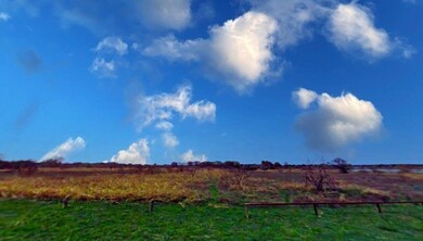 19072 White Bluff Dr, Whitney, TX 76692 - photo 3