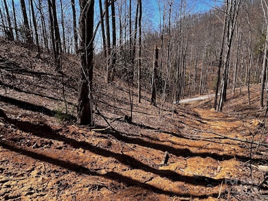 0 Rocky Face Dr unit RF-2, Canton, NC 28716 - photo 3