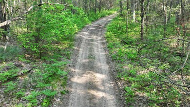 trail view 2