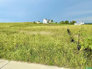 12018 S 229th St, Gretna, NE 68028 - photo 3