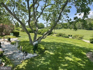 24700 Deepwater Point Dr unit 33, Saint Michaels, MD 21663 - photo 6