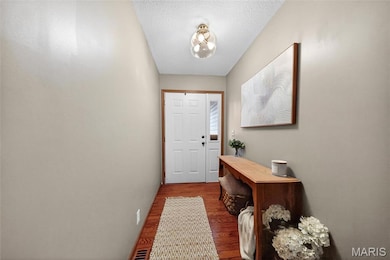 7749 Meadow View Cir, Union, MO 63084 - photo 3