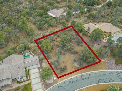 002_Aerial of Lot