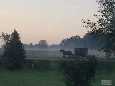 6395 E Beaverton Rd, Clare, MI 48617 - photo 3