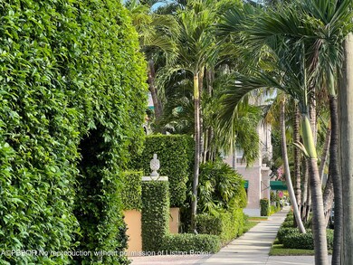 Cocoanut Neighborhood