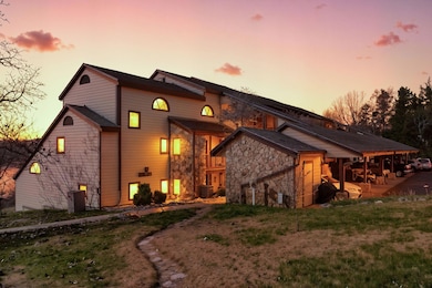 234 Sunset Cove, Branson, MO 65616 - photo 2