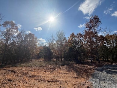 24 Summer Tyme Dr, Greenbrier, AR 72058 - photo 3